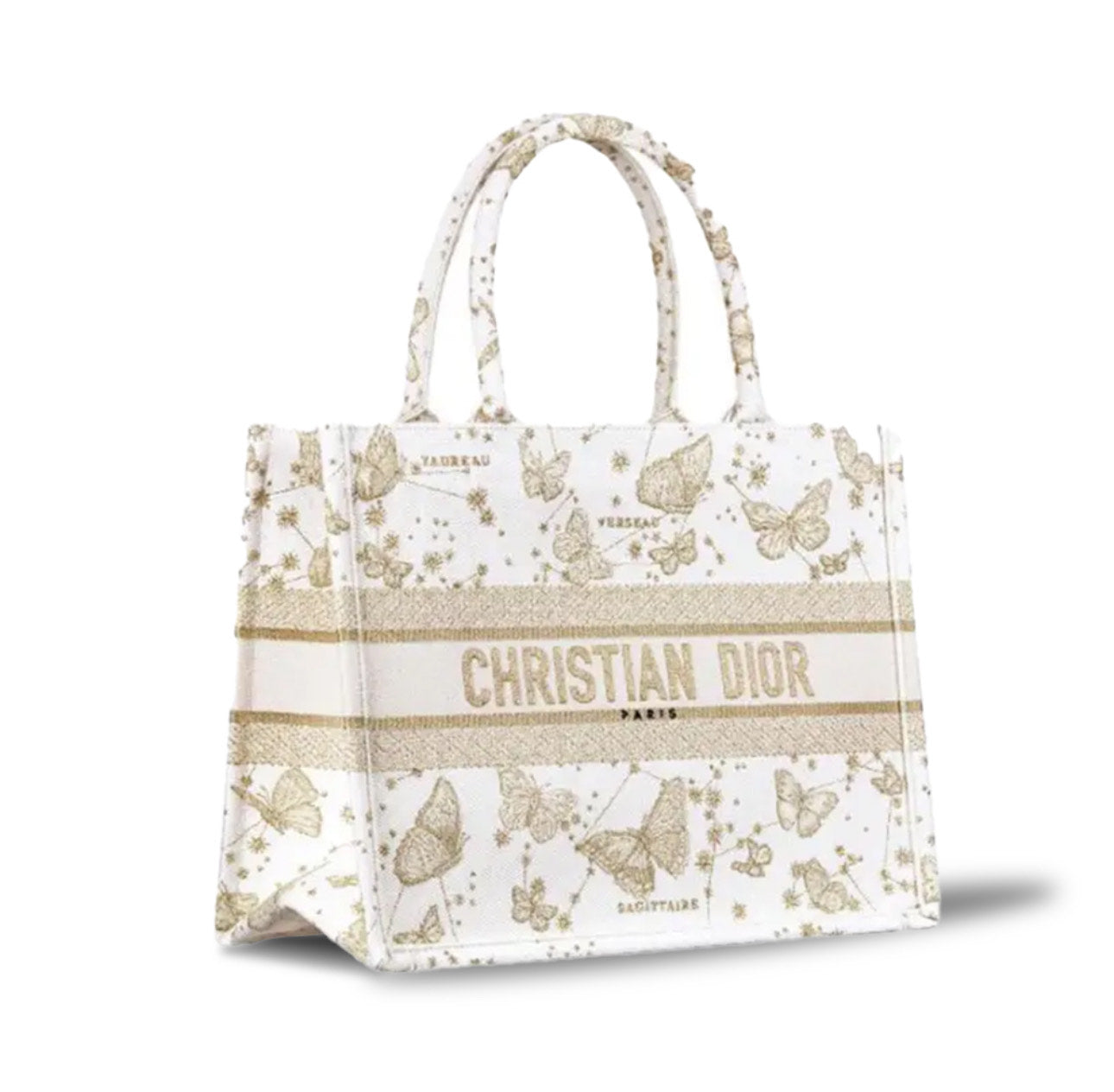 Dior Medium Book Tote Hand Bag