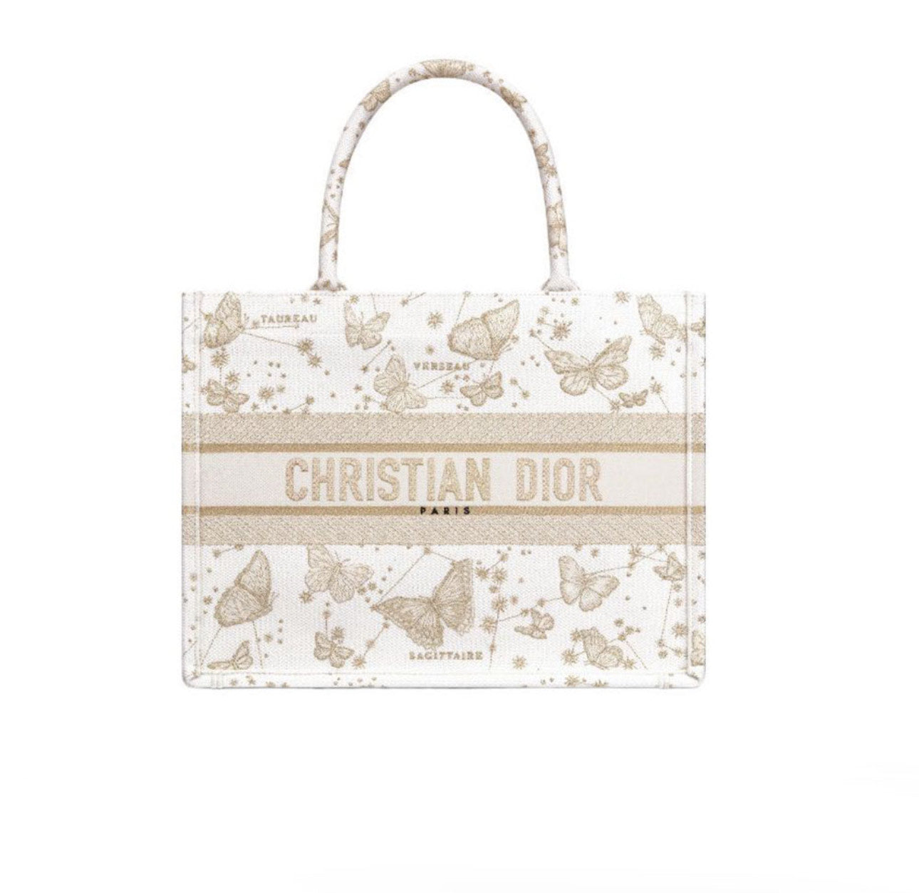 Dior Medium Book Tote Hand Bag
